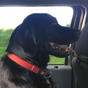 Meet your Posher, Jordan